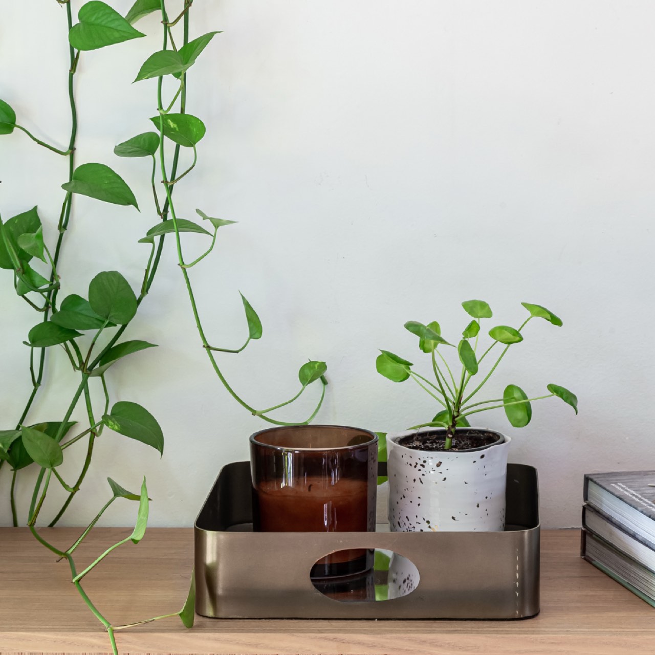 Open Box: Anthology Jules Tray - L