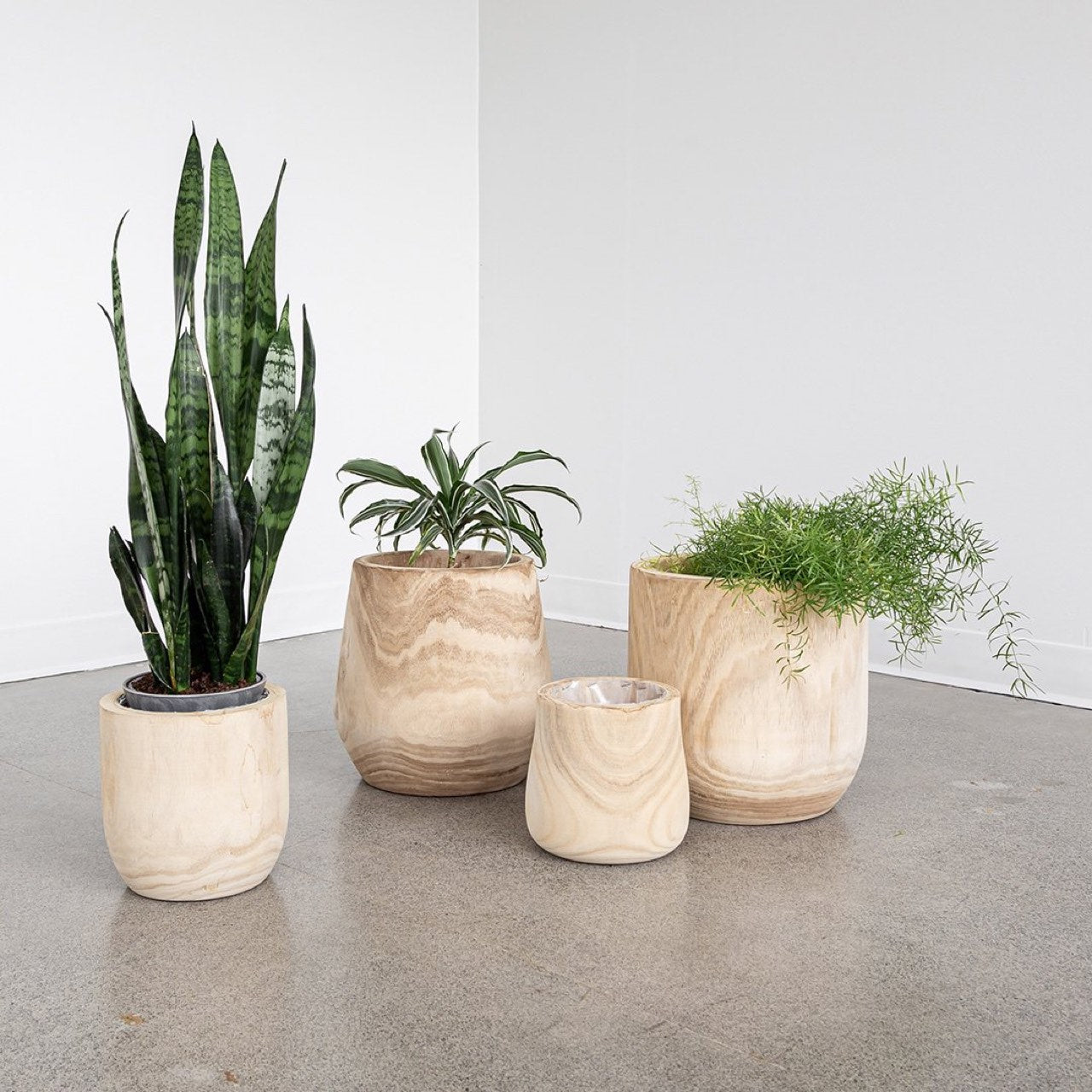 Open Box: Nova Mod Planter
